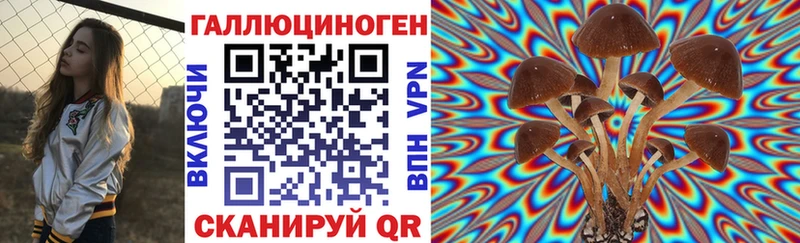 Псилоцибиновые грибы мицелий  купить   shop формула  Таштагол 
