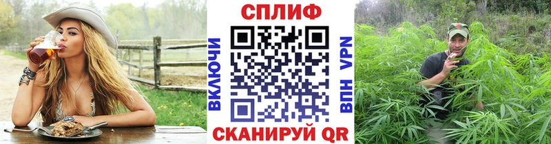 Канабис гибрид  Таштагол 