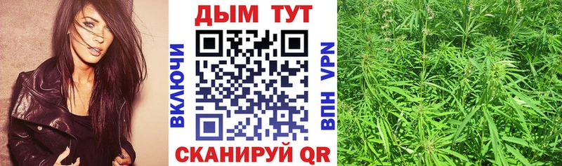МАРИХУАНА ГИДРОПОН Таштагол